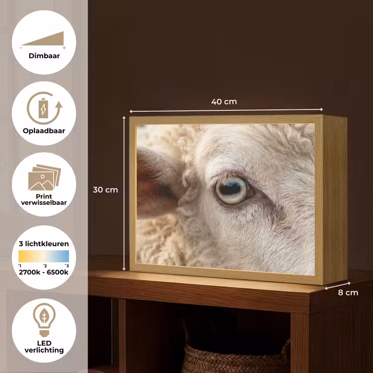 Lightbox - Wandlamp - Schaap - Oog - Wit — 10