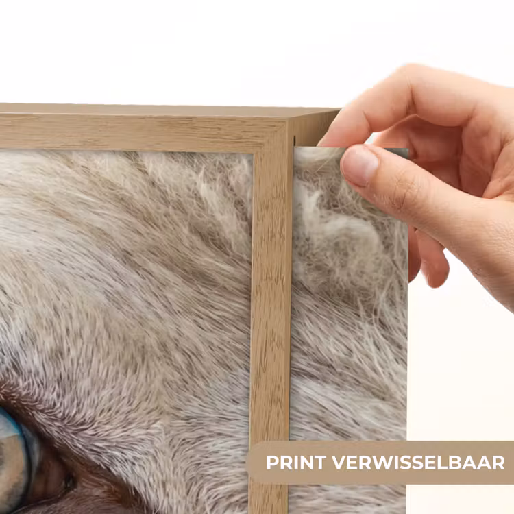 Lightbox - Wandlamp - Schaap - Oog - Wit — 5
