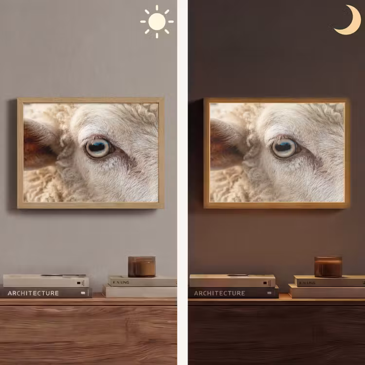 Lightbox - Wandlamp - Schaap - Oog - Wit — 6