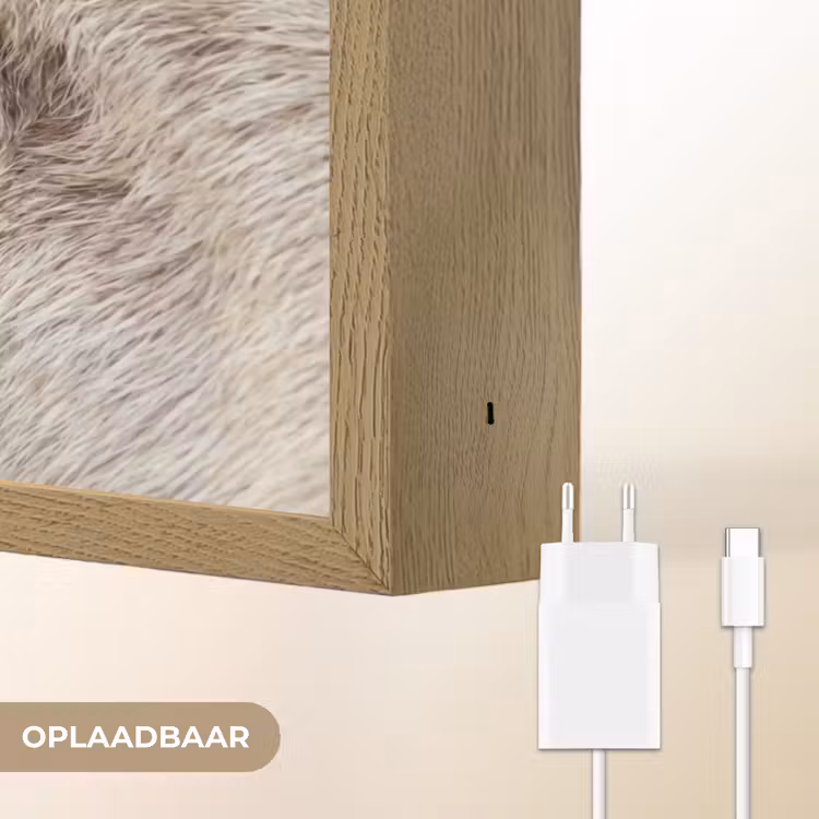 Lightbox - Wandlamp - Schaap - Oog - Wit — 7