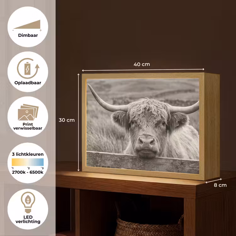 Lightbox - Wandlamp - Schotse hooglander - Zwart - Wit - Hout — 10