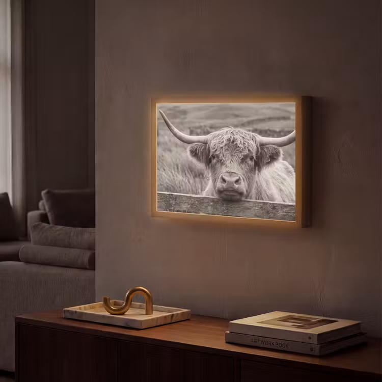 Lightbox - Wandlamp - Schotse hooglander - Zwart - Wit - Hout — 2