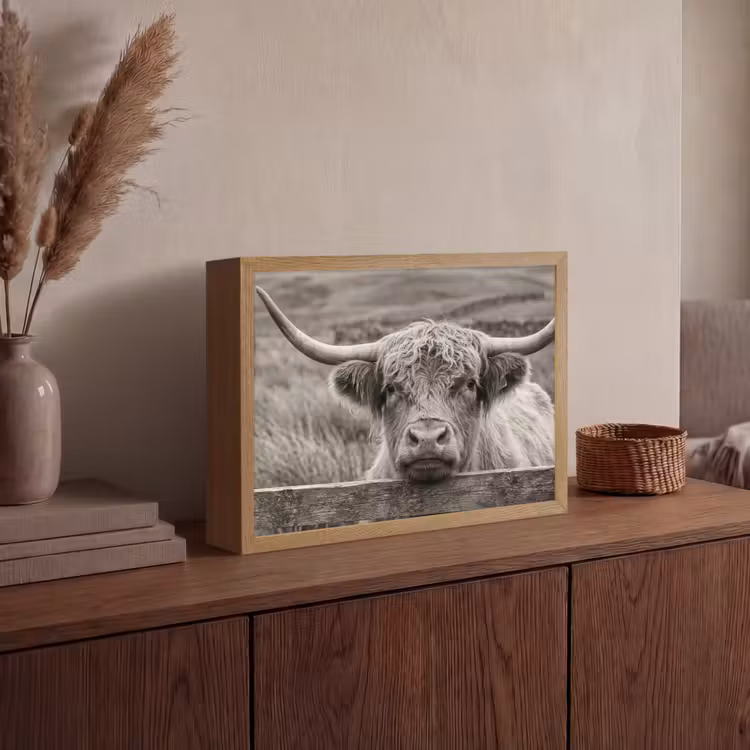 Lightbox - Wandlamp - Schotse hooglander - Zwart - Wit - Hout — 4
