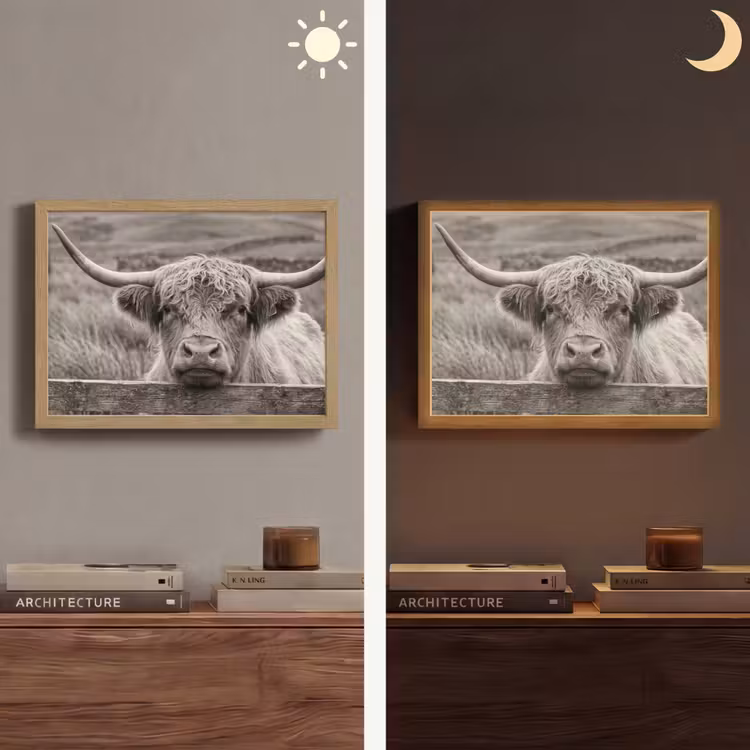 Lightbox - Wandlamp - Schotse hooglander - Zwart - Wit - Hout — 6