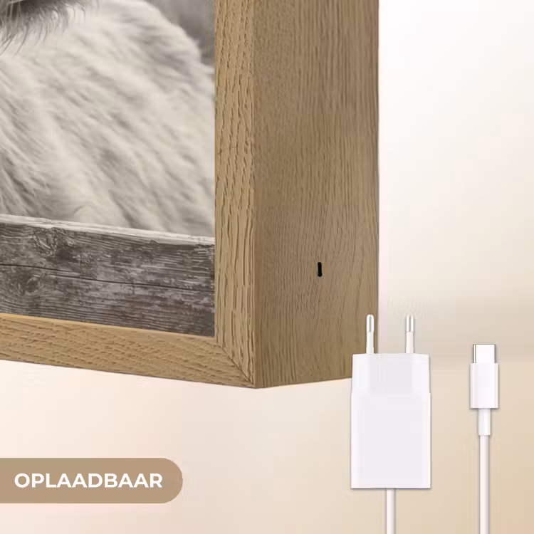 Lightbox - Wandlamp - Schotse hooglander - Zwart - Wit - Hout — 7
