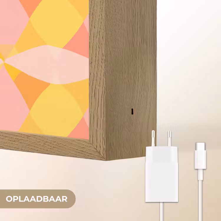Lightbox - Wandlamp - Kleurrijk - Ruitpatroon - Bladvormen — 7