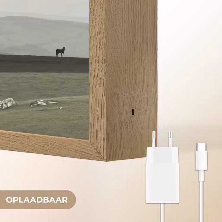 Lightbox - Wandlamp - Grijs - Berg - Paarden — 7