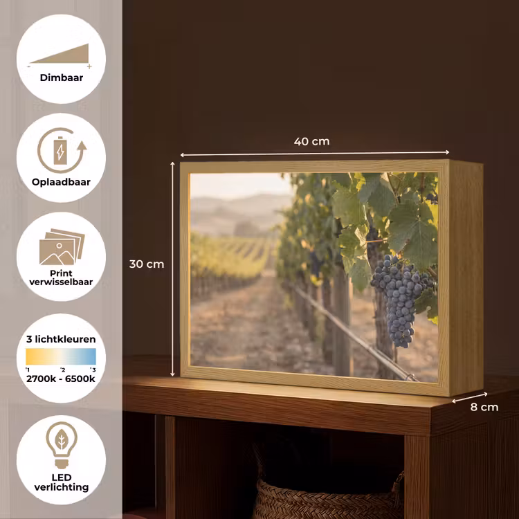 Lightbox - Wandlamp - Druiven - Wijngaard - Zonlicht — 10