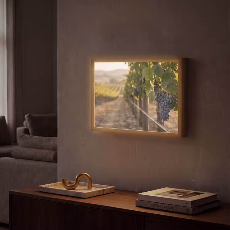 Lightbox - Wandlamp - Druiven - Wijngaard - Zonlicht — 2