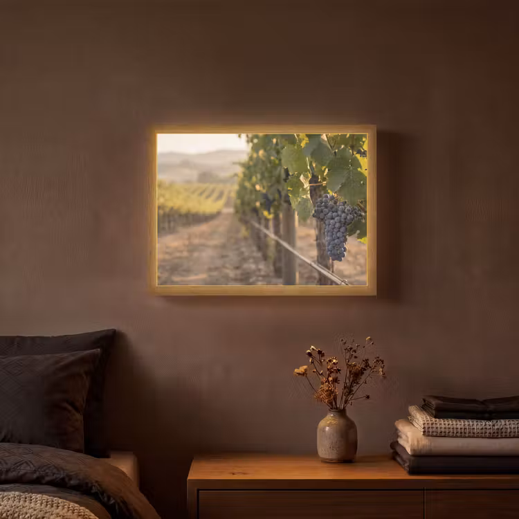 Lightbox - Wandlamp - Druiven - Wijngaard - Zonlicht — 3