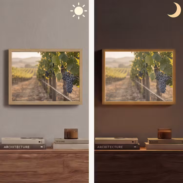 Lightbox - Wandlamp - Druiven - Wijngaard - Zonlicht — 6