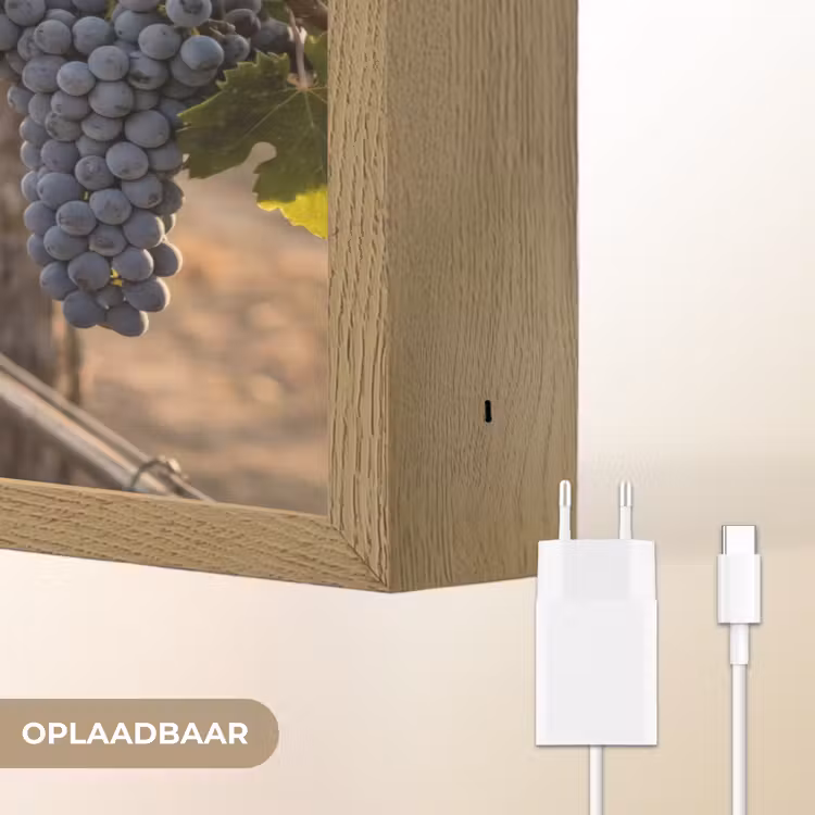Lightbox - Wandlamp - Druiven - Wijngaard - Zonlicht — 7