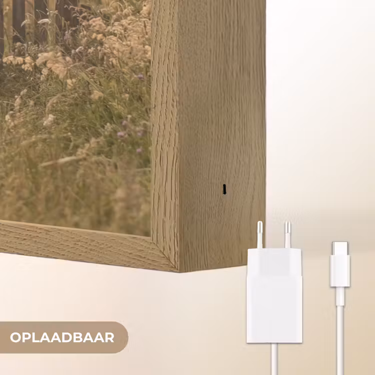Lightbox - Wandlamp - Hek - Natuur - Mist - Veld — 7