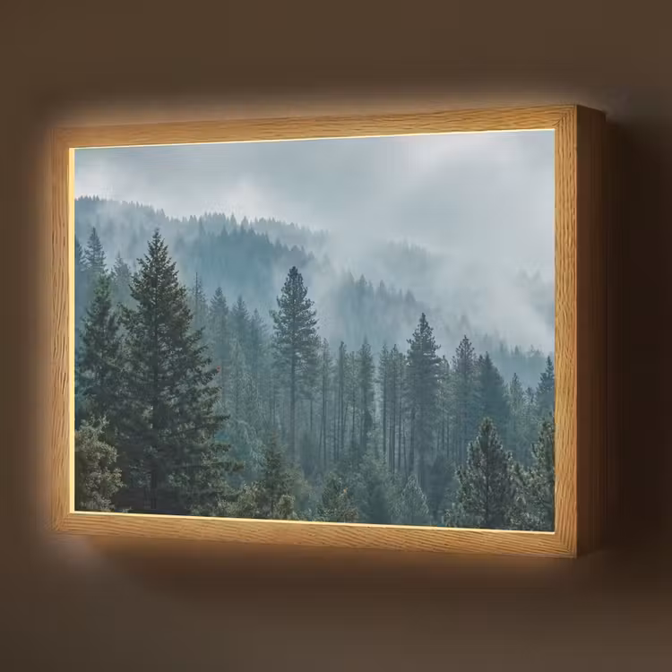 Lightbox - Wandlamp - Naaldwoud - Bergen - Mist — 1