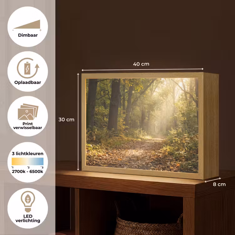 Lightbox - Wandlamp - Zonlicht - Bospad - Bomen — 10