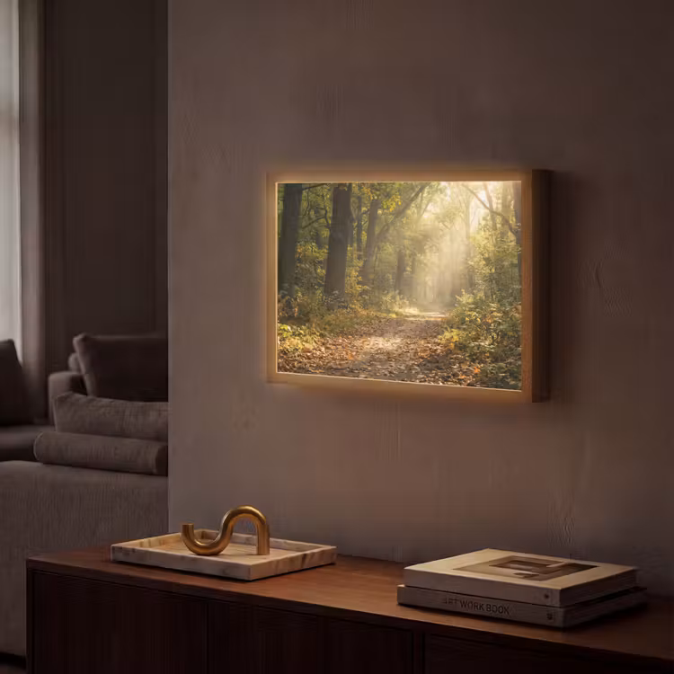 Lightbox - Wandlamp - Zonlicht - Bospad - Bomen — 2
