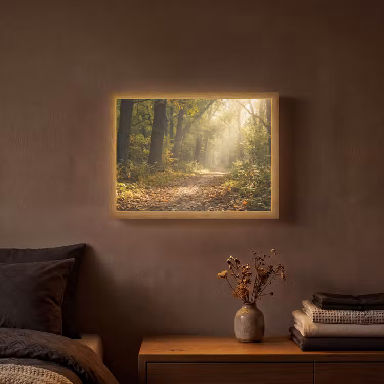 Lightbox - Wandlamp - Zonlicht - Bospad - Bomen — 3