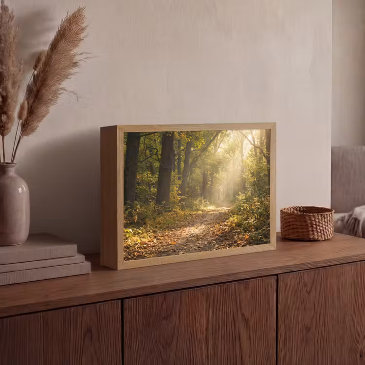 Lightbox - Wandlamp - Zonlicht - Bospad - Bomen — 4