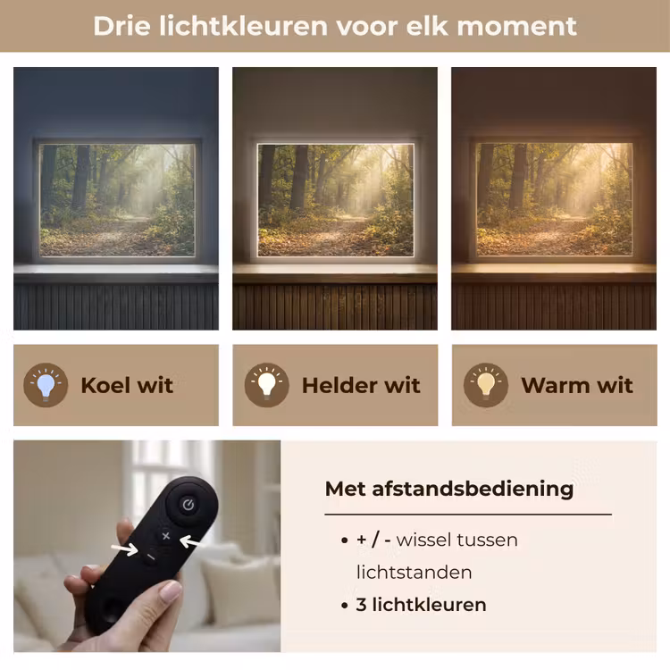 Lightbox - Wandlamp - Zonlicht - Bospad - Bomen — 8