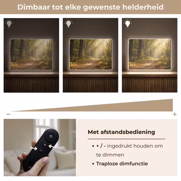 Lightbox - Wandlamp - Zonlicht - Bospad - Bomen — 9