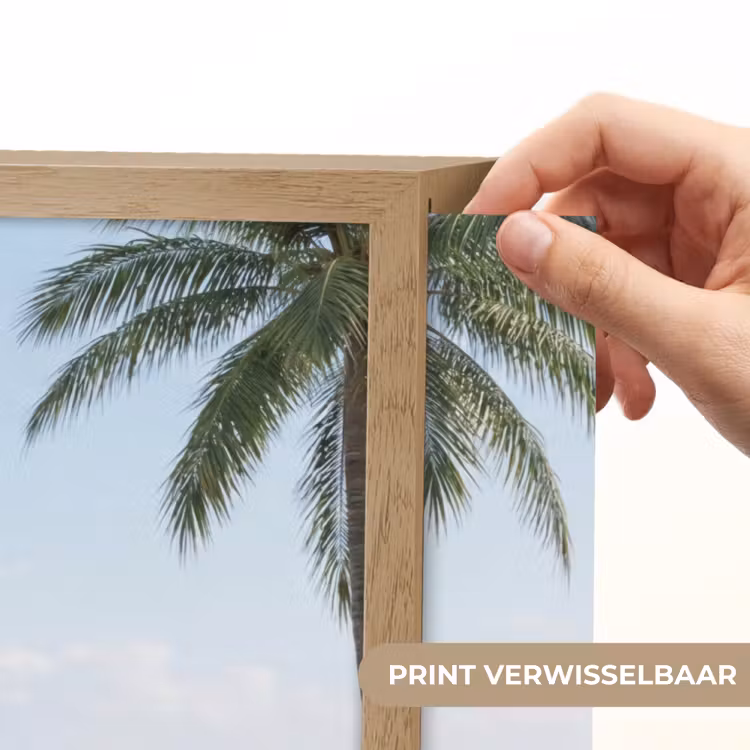 Lightbox - Wandlamp - Palmbomen - Pad - Horizon — 5