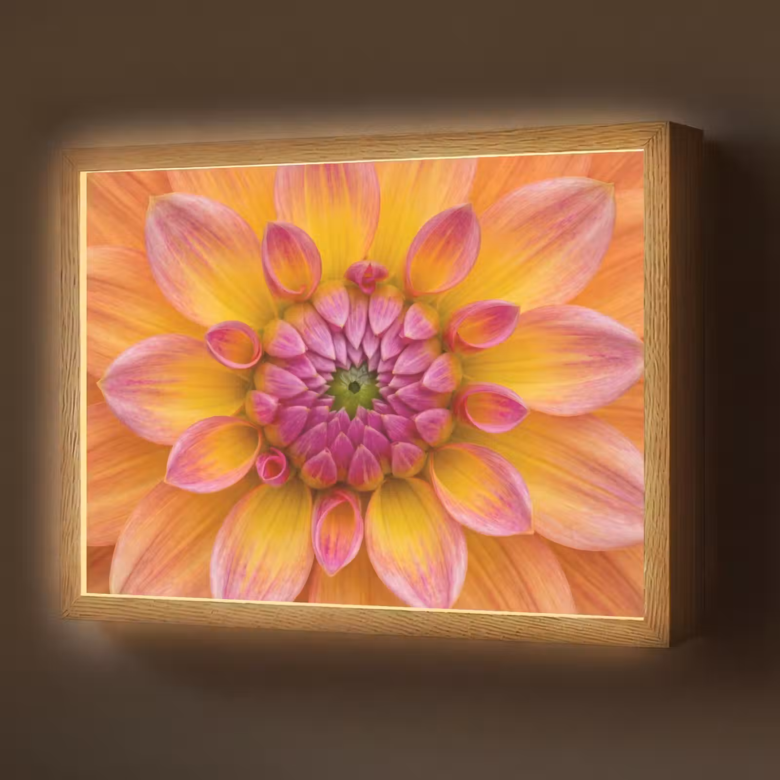 Lightbox - Wandlamp - Dahlia - Bloem - Oranje — 1