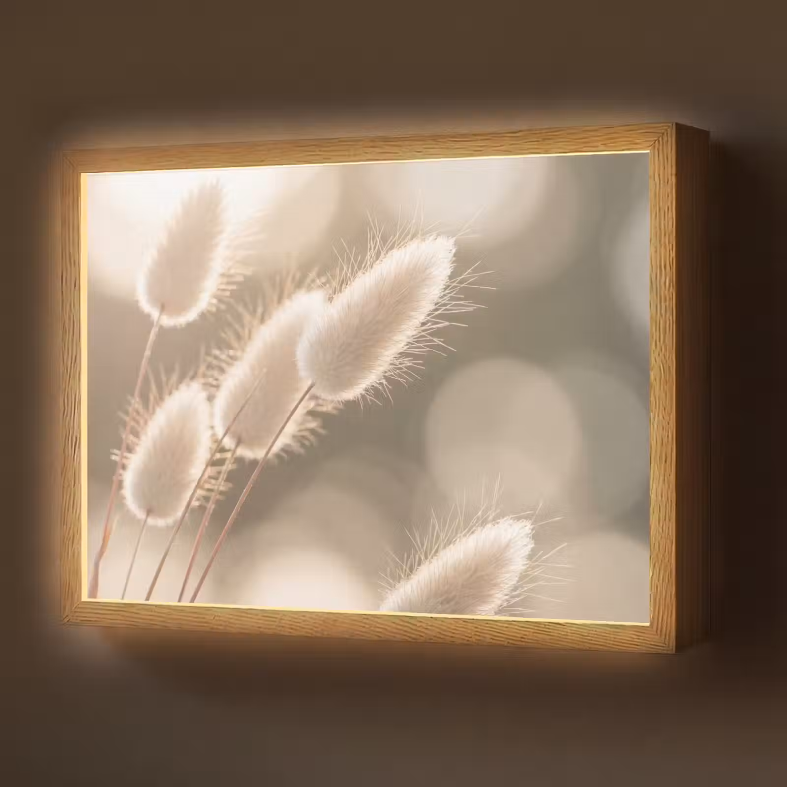 Lightbox - Wandlamp - Hazestaartgras - Wit - Zonlicht — 1