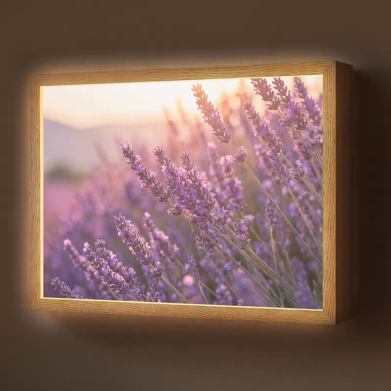 Lightbox - Wandlamp - Lavendel - Paars - Zonlicht — 1