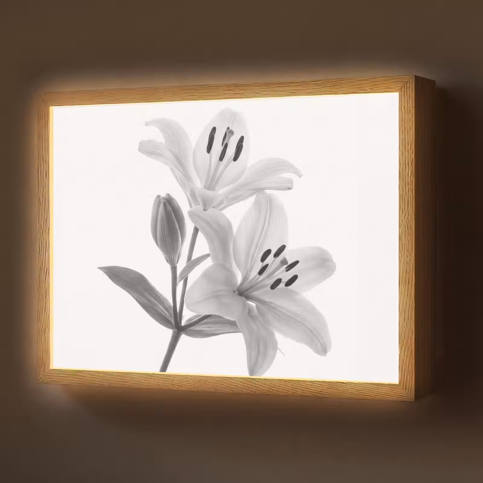 Lightbox - Wandlamp - Lelies - Elegant - Zwart - Wit — 1