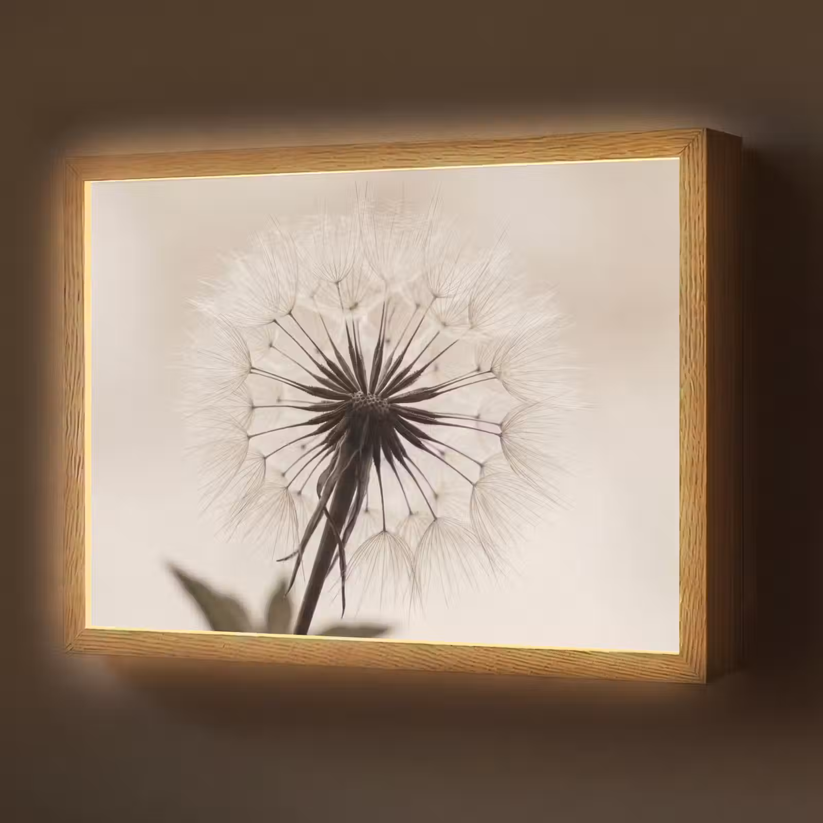 Lightbox - Wandlamp - Paardenbloem - Minimalistisch - Wit — 1