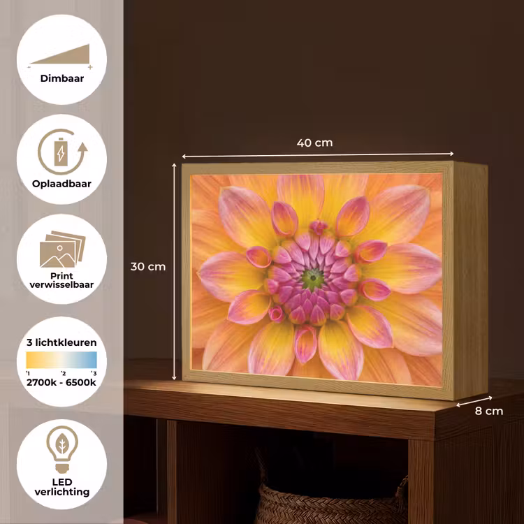 Lightbox - Wandlamp - Dahlia - Bloem - Oranje — 10