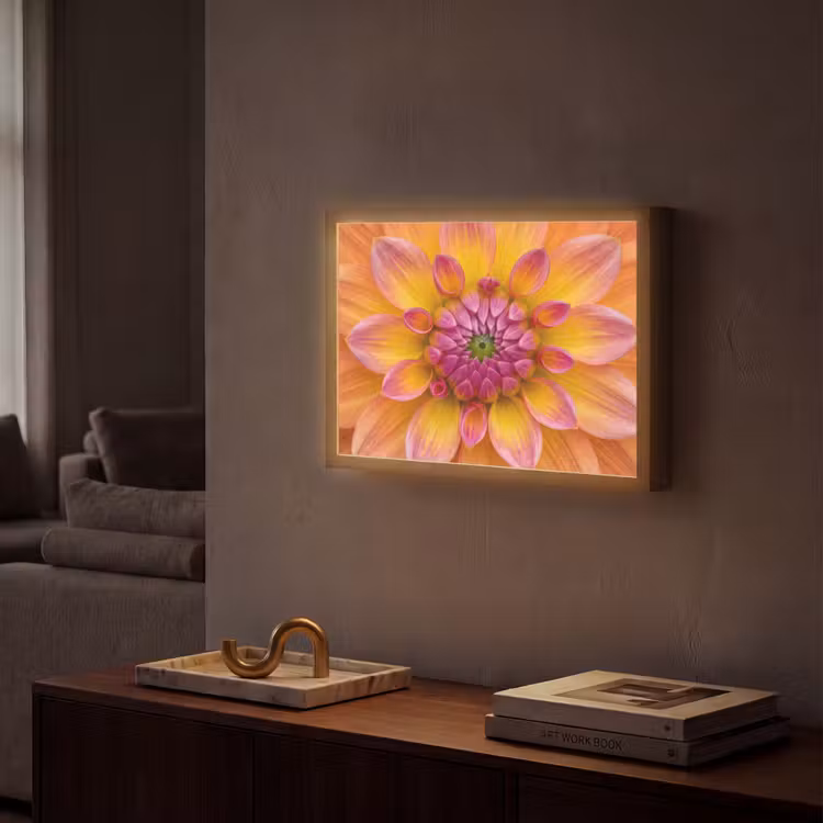 Lightbox - Wandlamp - Dahlia - Bloem - Oranje — 2