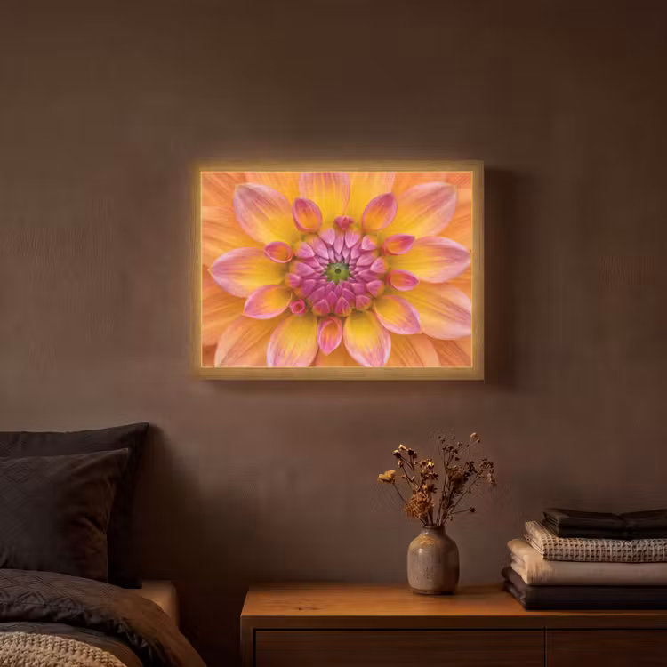 Lightbox - Wandlamp - Dahlia - Bloem - Oranje — 3
