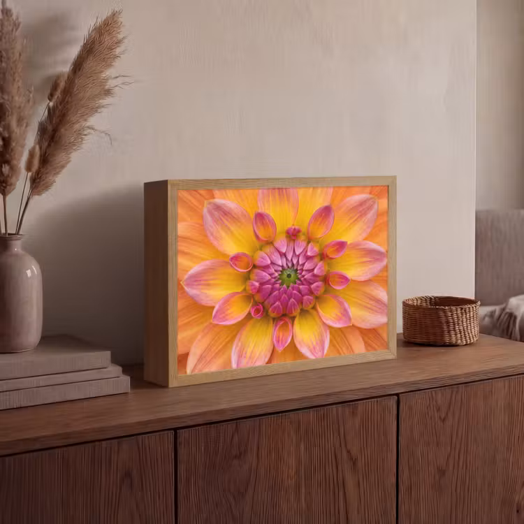 Lightbox - Wandlamp - Dahlia - Bloem - Oranje — 4