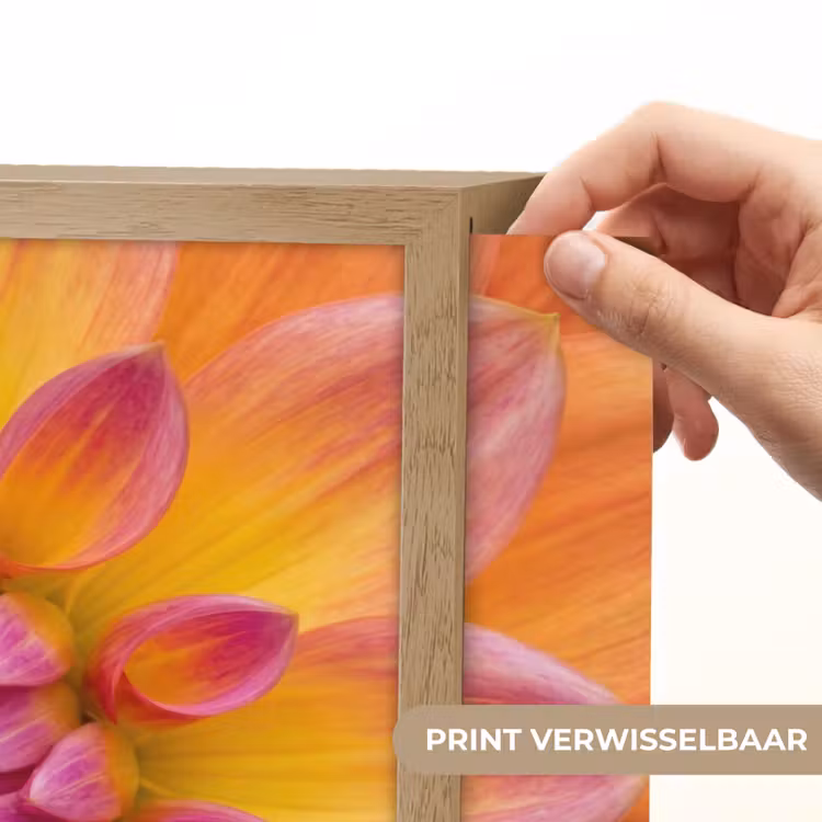 Lightbox - Wandlamp - Dahlia - Bloem - Oranje — 5