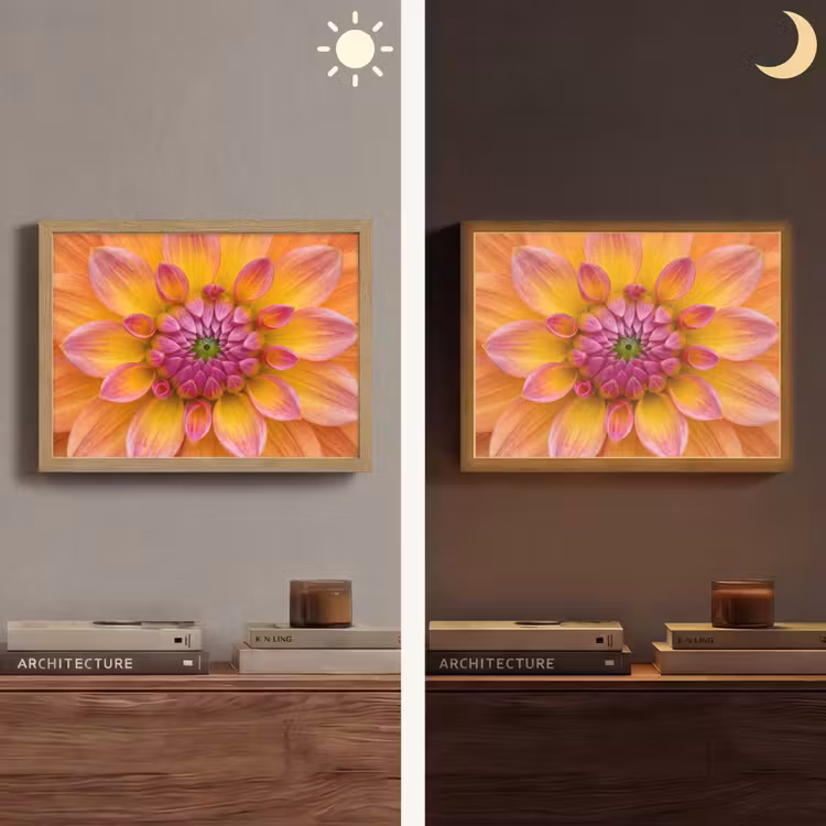Lightbox - Wandlamp - Dahlia - Bloem - Oranje — 6