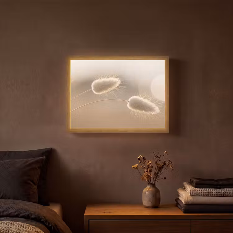 Lightbox - Wandlamp - Hazestaartgras - Graanharen - Zonlicht — 3