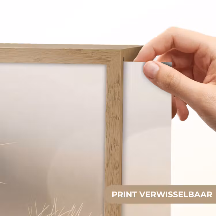 Lightbox - Wandlamp - Hazestaartgras - Graanharen - Zonlicht — 5