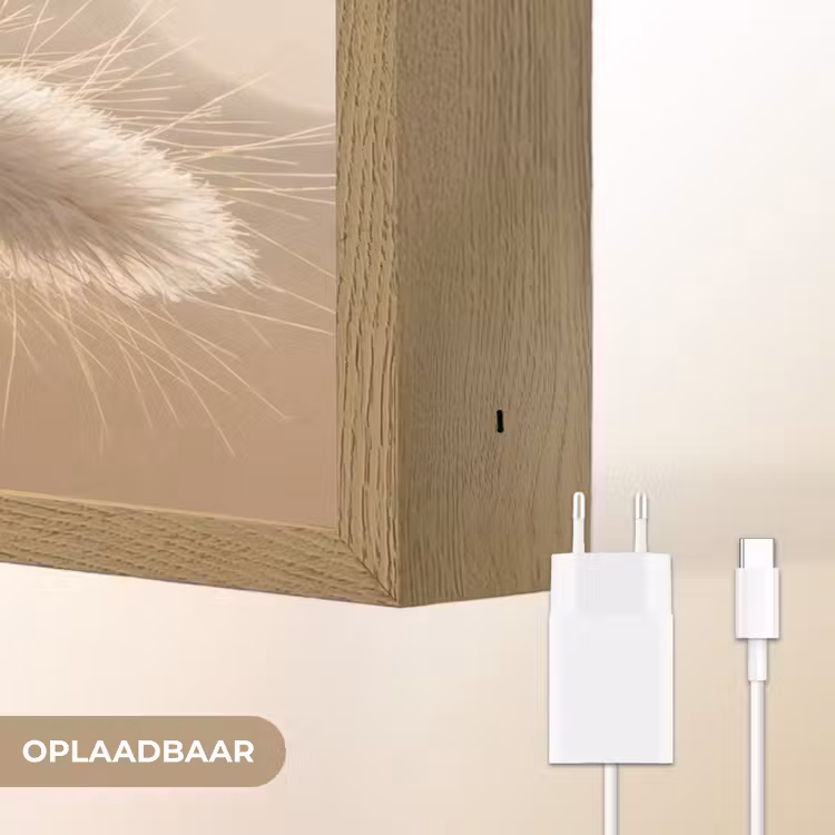 Lightbox - Wandlamp - Hazestaartgras - Graanharen - Zonlicht — 7