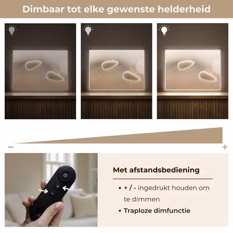 Lightbox - Wandlamp - Hazestaartgras - Graanharen - Zonlicht — 9