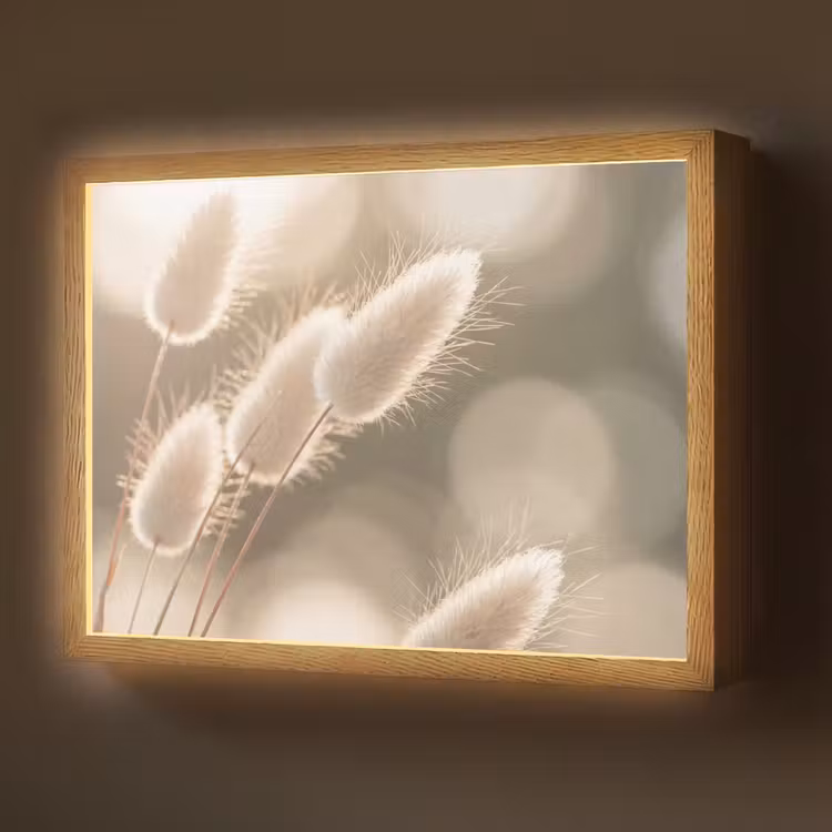 Lightbox - Wandlamp - Hazestaartgras - Wit - Zonlicht — 1
