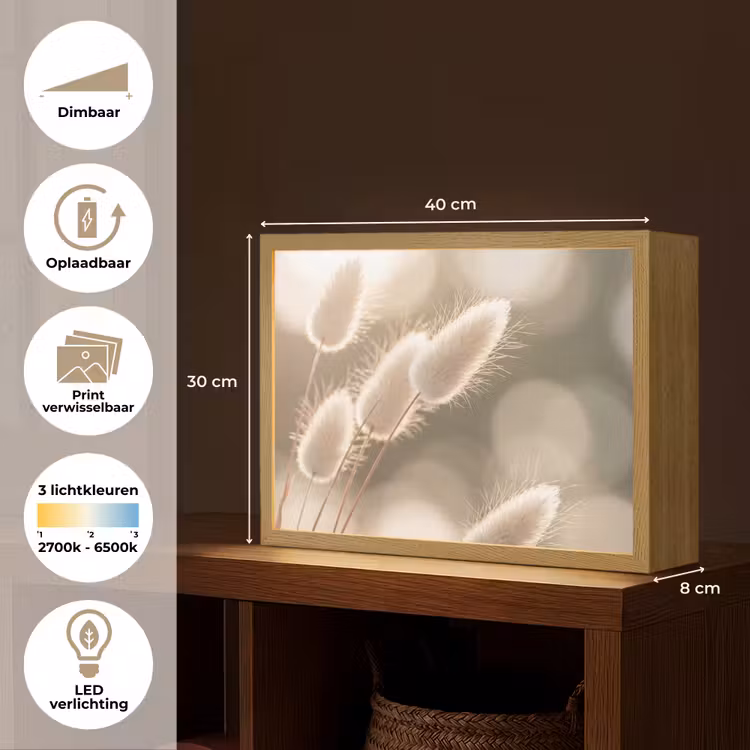 Lightbox - Wandlamp - Hazestaartgras - Wit - Zonlicht — 10