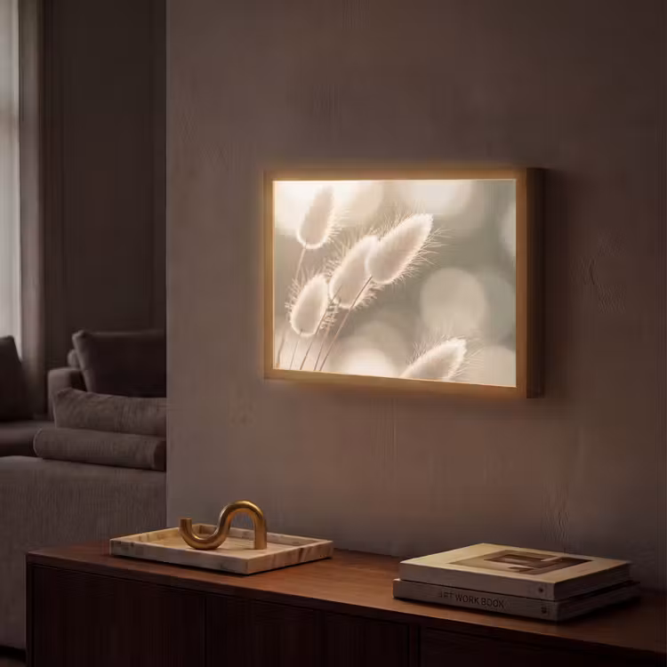 Lightbox - Wandlamp - Hazestaartgras - Wit - Zonlicht — 2