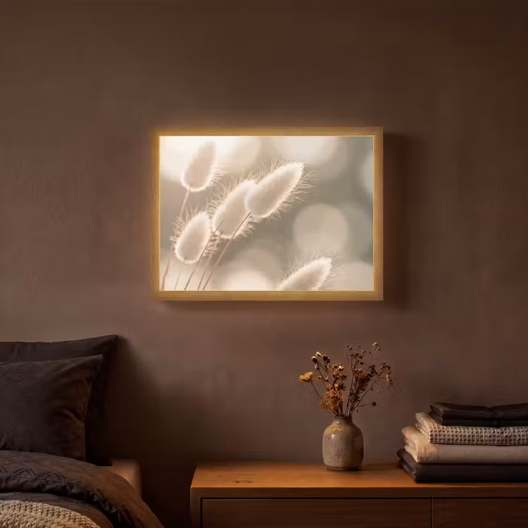 Lightbox - Wandlamp - Hazestaartgras - Wit - Zonlicht — 3