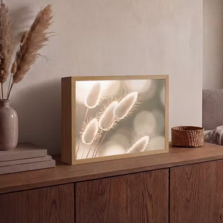 Lightbox - Wandlamp - Hazestaartgras - Wit - Zonlicht — 4