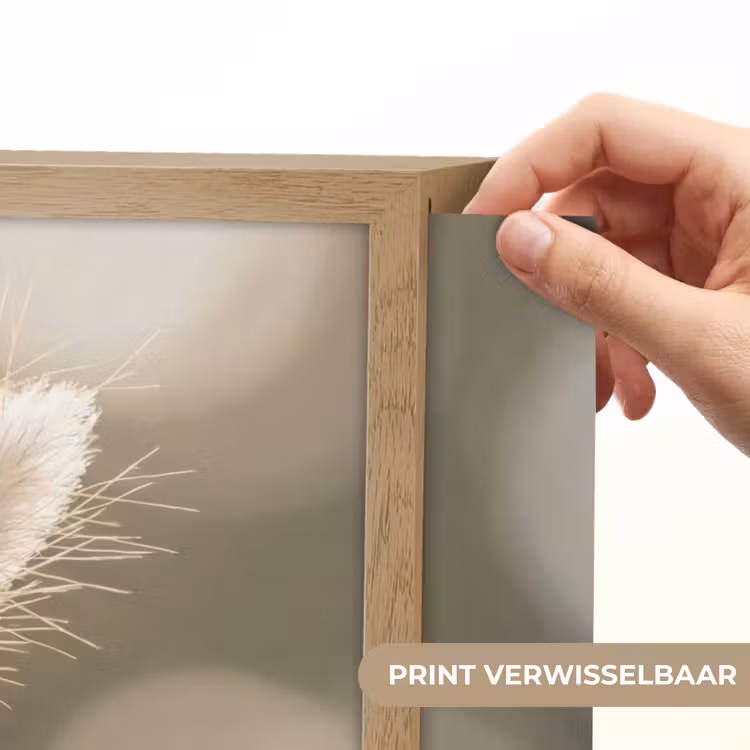 Lightbox - Wandlamp - Hazestaartgras - Wit - Zonlicht — 5
