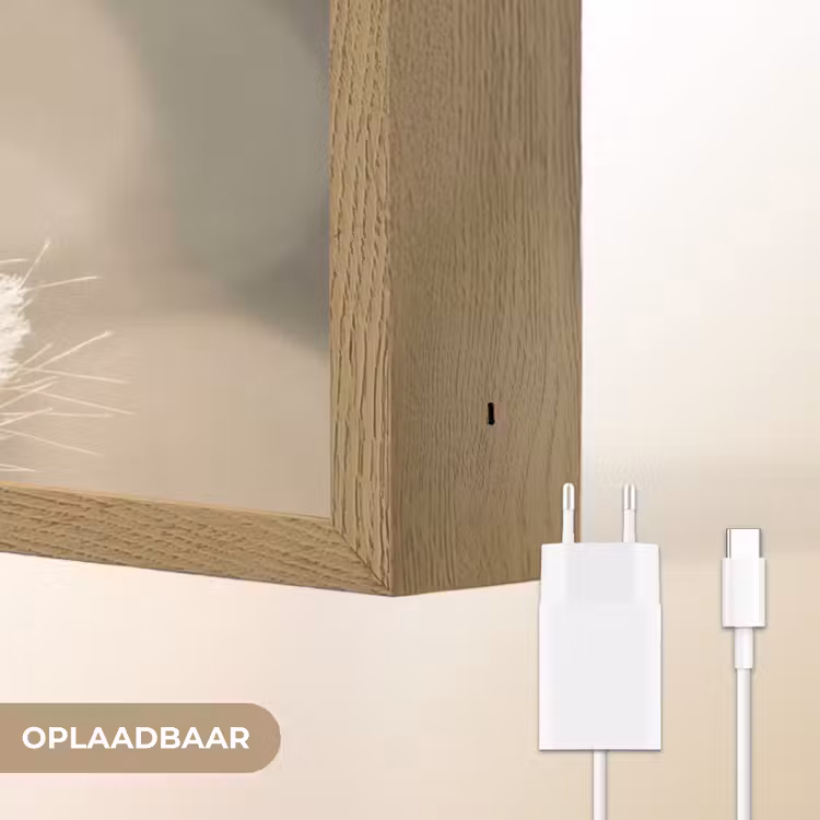 Lightbox - Wandlamp - Hazestaartgras - Wit - Zonlicht — 7
