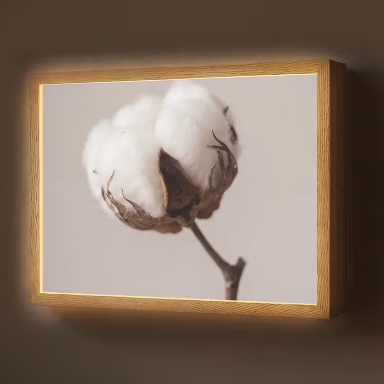 Lightbox - Wandlamp - Katoenbol - Minimalistisch - Wit — 1