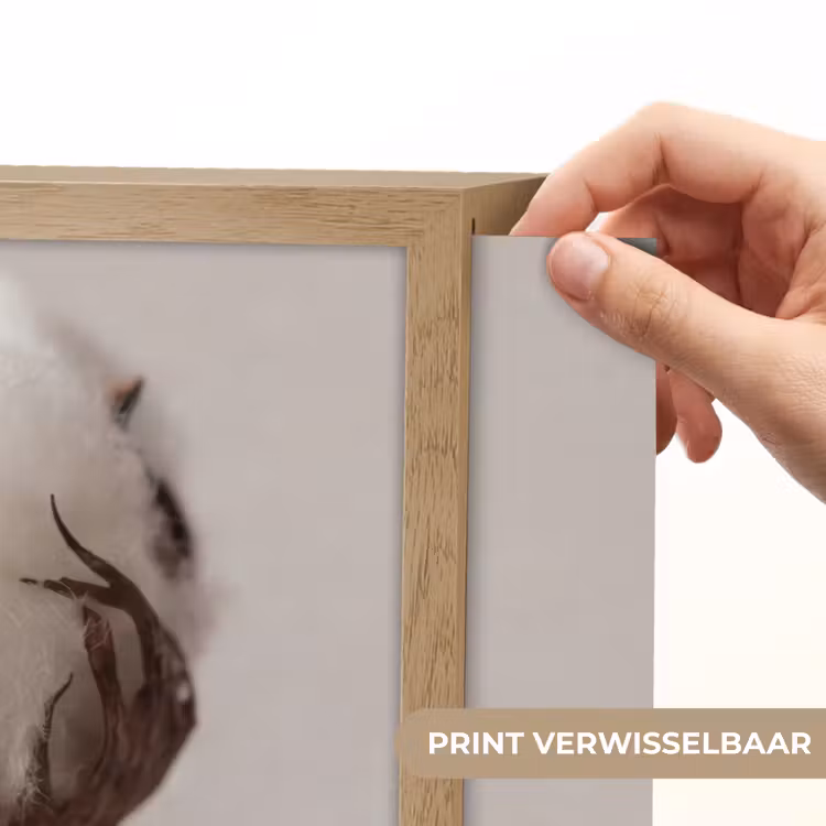 Lightbox - Wandlamp - Katoenbol - Minimalistisch - Wit — 5