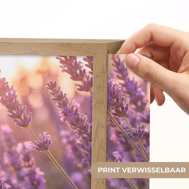 Lightbox - Wandlamp - Lavendel - Paars - Zonlicht — 5